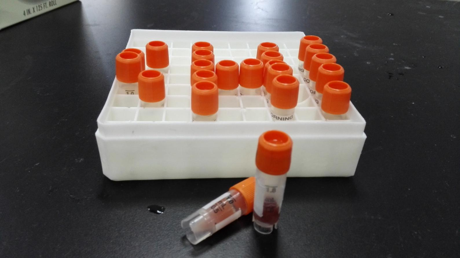 微粒體定制系列（六）——魚肝微粒體 Fish Liver Microsomes
