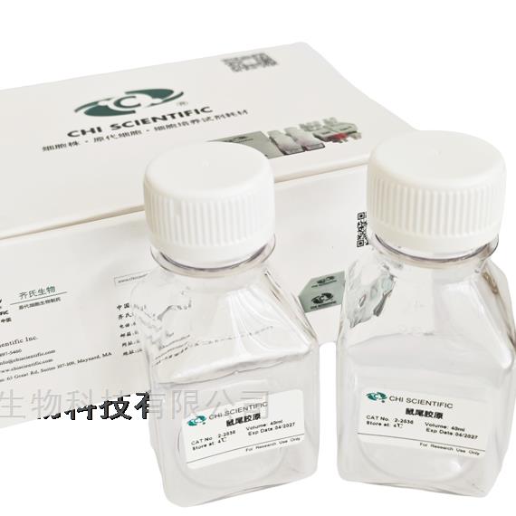 掌握鼠尾膠原蛋白制備方法是保障實(shí)驗(yàn)可重復(fù)性與生物學(xué)功能的關(guān)鍵