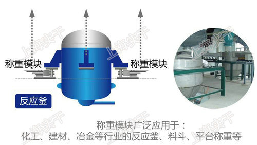 静载称重模块