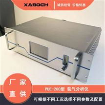PUE200氢气含量监测仪