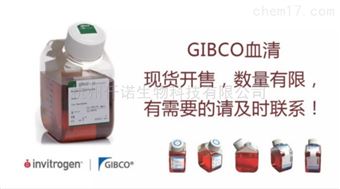 10270-106GIBCO胎牛血清
