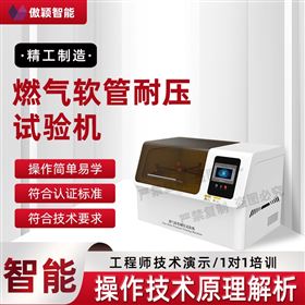 傲穎 燃氣軟管耐壓試驗機