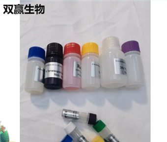 大鼠免疫球蛋白A(IgA)ELISA试剂盒