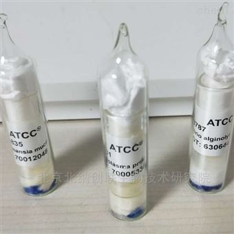 ATCC700084ATCC700084 mc（2）155菌株