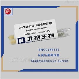 BNCC186335ɫѯ-ѯ