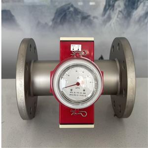 SHSDN80法兰型流量开关