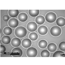 Technical系列美国 Novum Glass 实心玻璃微珠 仪器配件