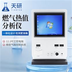 TY-CG-7400Ⅱ便携式天然气热值分析仪