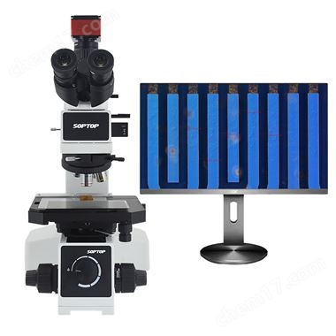 微分干涉显微镜DIC粒子压痕检测