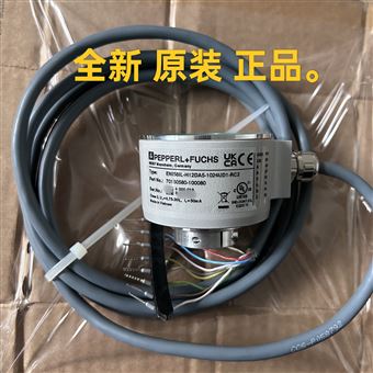 倍加福編碼器ENI58IL-H12DA5-1024UD1-RC2