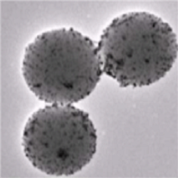 BSA修饰金纳米颗粒