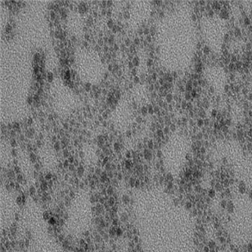 PVP修飾硫化銅納米顆粒