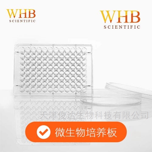 24孔微生物培養(yǎng)板