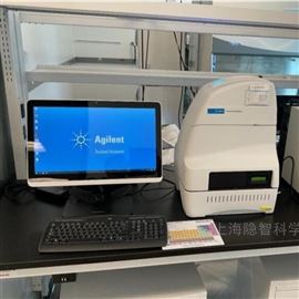 Seahorse XFe96安捷伦细胞能量代谢分析仪