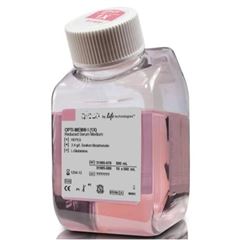 11965092賽默飛世爾Thermo高糖培養基11965118 試劑