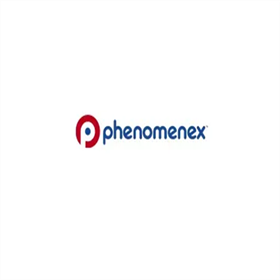 CH0-9229PolySep-GFC-P 4000, LC Column 300 x 7.8 mm, Ea