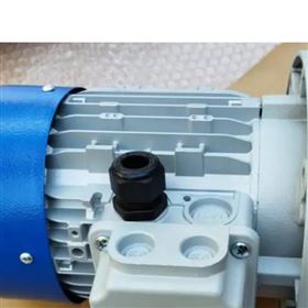 M.T. Motori三相电机TN100 kw3 4p B5