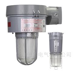 COOPERVMVSJ100GP/220 50防爆燈具（庫存）