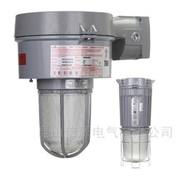 COOPERVMVSJ100GP/220 50防爆灯具（库存）