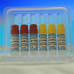 EZ001细胞色素P450酶试剂