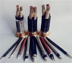 CXFR船用电缆 天然丁苯系类