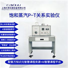 DYR009 飽和蒸汽P-T關(guān)系實(shí)驗(yàn)儀