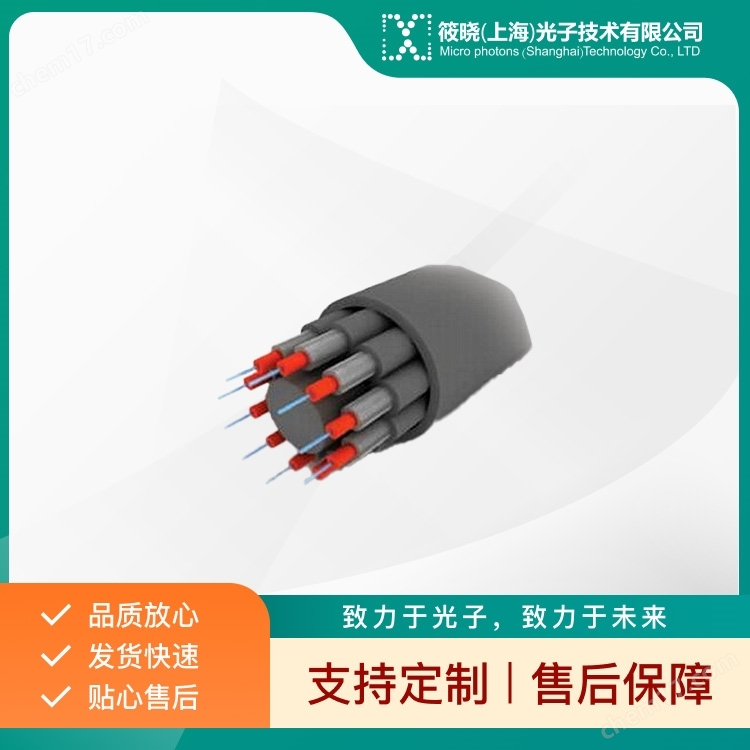 分支多芯光纜（跳線/連接器）