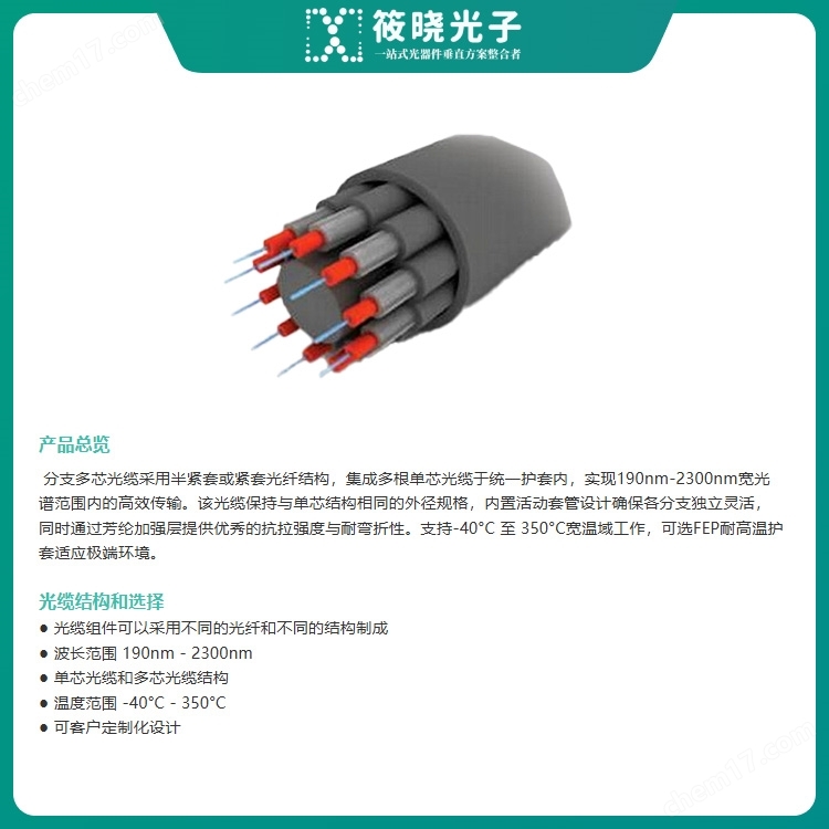 分支多芯光纜（跳線/連接器）