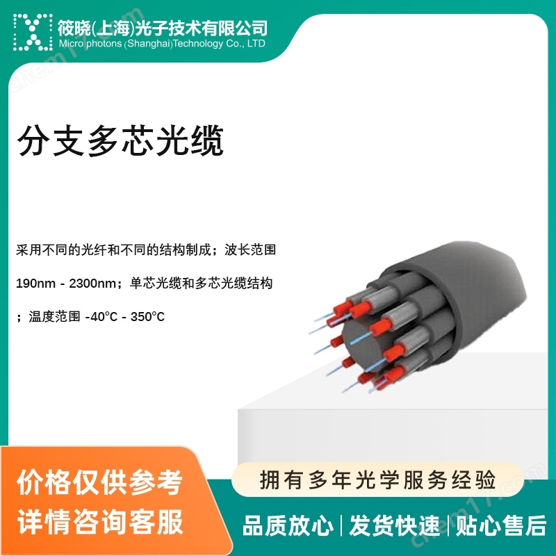 分支多芯光纜（跳線/連接器）