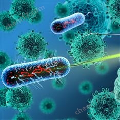 藥物遞送研發(fā)與驗(yàn)證一體化服務(wù)平臺(tái)