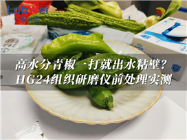 一韦仪器HG24组织研磨仪用于新鲜青椒常规研磨实验方案
