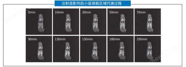 國產(chǎn)小動物核磁共振成像分析儀