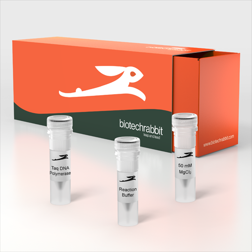 凍干科技×精準(zhǔn)酶學(xué)：biotechrabbit的穩(wěn)定實(shí)驗(yàn)保障