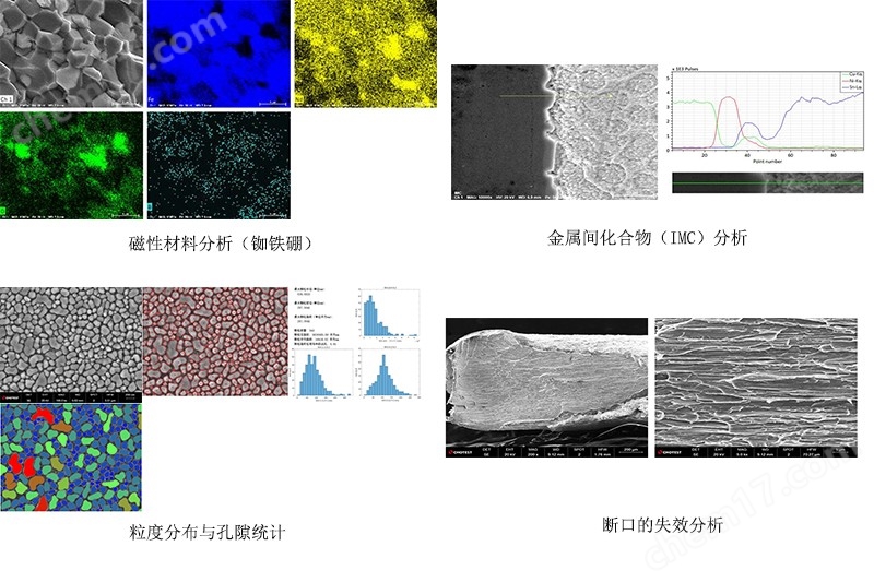 金屬材料分析.jpg SEM掃描電子顯微鏡品牌