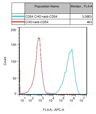 CD54 CHO