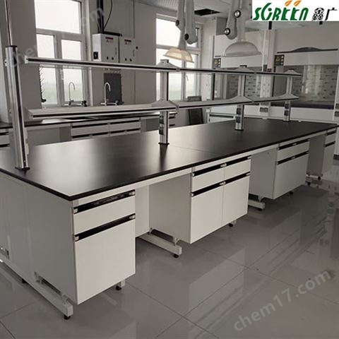 實(shí)驗(yàn)室器皿柜定制全鋼試劑柜試驗(yàn)室家具