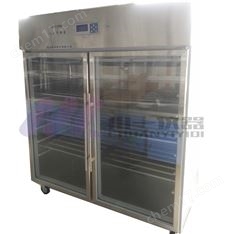 智能人工氣候箱  溫濕度光照可調(diào)試驗(yàn)箱