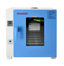 HGZF-II/H-101-2电热恒温鼓风干燥箱