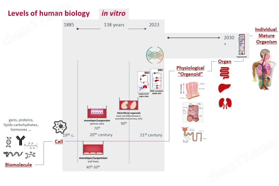 類器官芯片培養系統