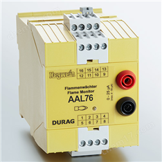 原裝HEGWEIN火焰監(jiān)測(cè)器燃燒控制器點(diǎn)火裝置