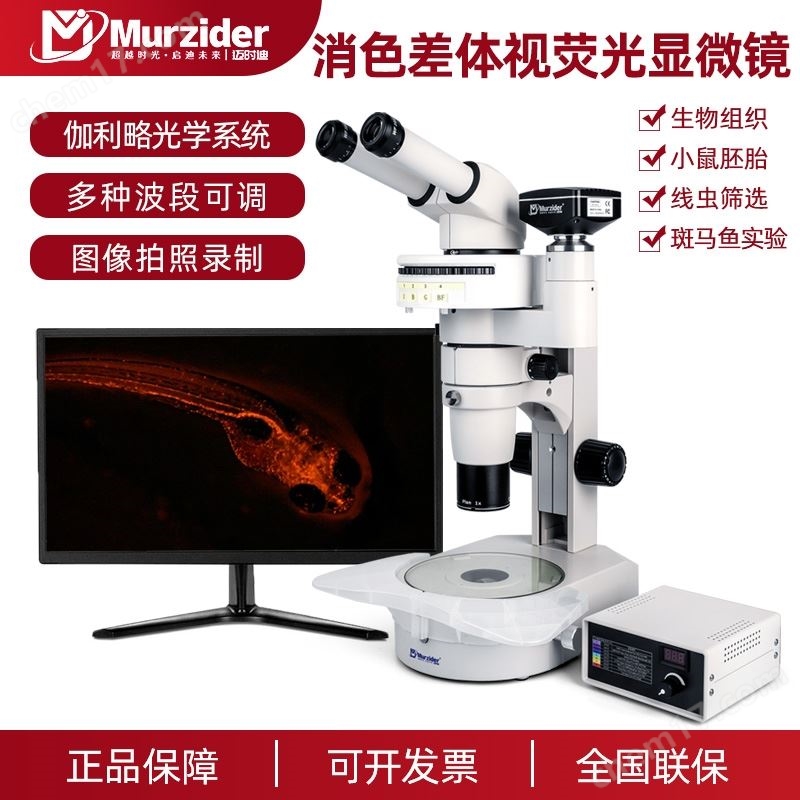 邁時(shí)迪體視熒光顯微鏡科研級(jí)UBG三波段