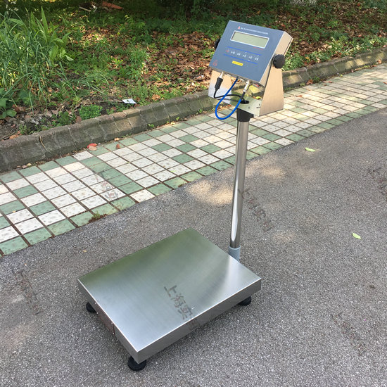 100公斤电子防爆秤