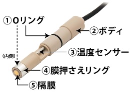 氧傳感器“Wagnit