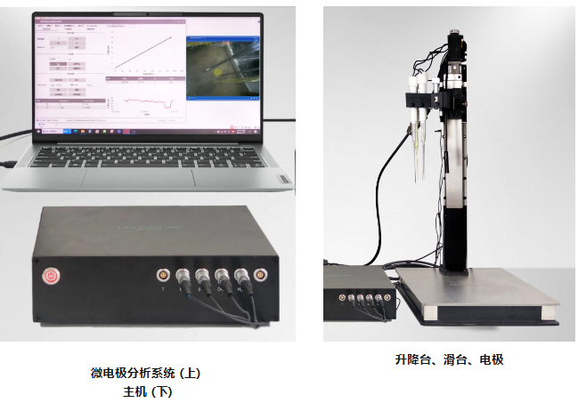 微電極組成.jpg