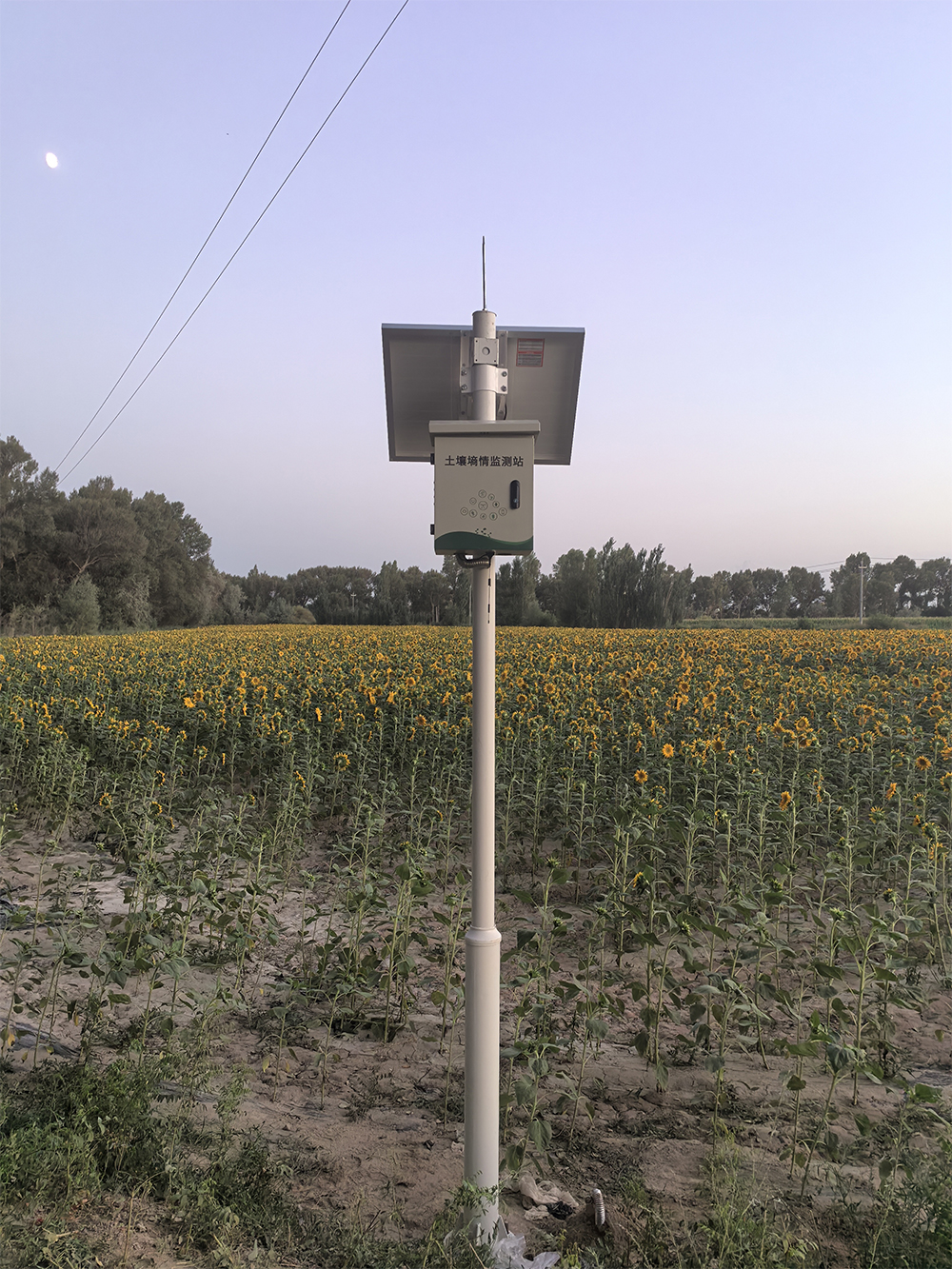 土壤墑情監(jiān)測(cè)系統(tǒng)把控大棚土壤水分的動(dòng)態(tài)