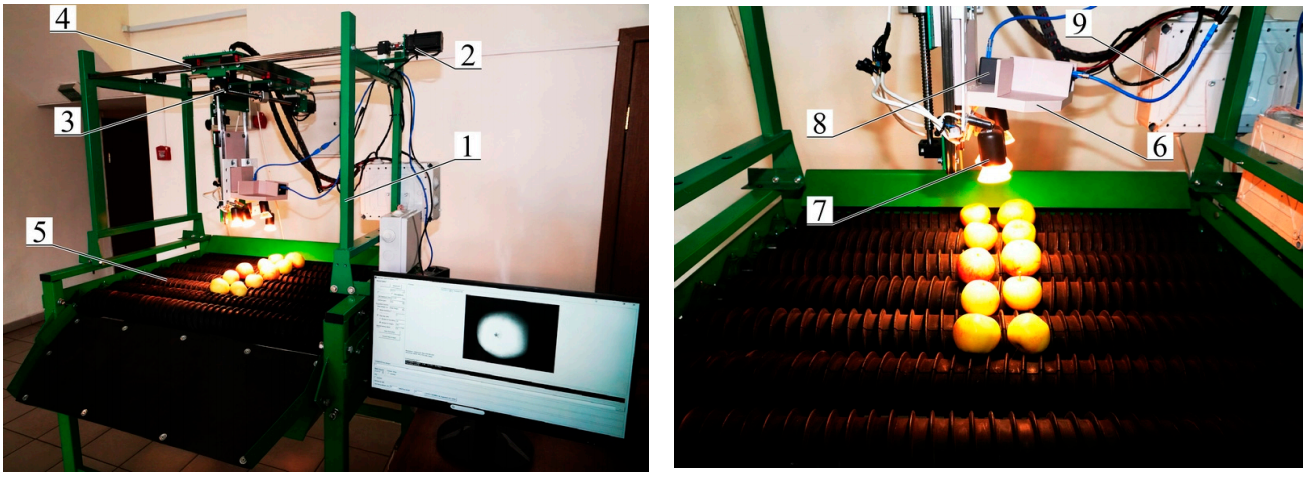 高光谱成像技术：食品行业的“火眼金睛”