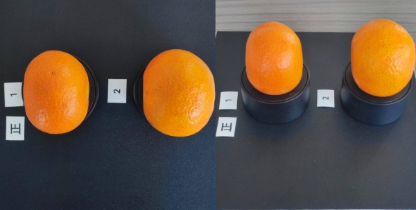 反射模式橘子擺放組圖.jpg