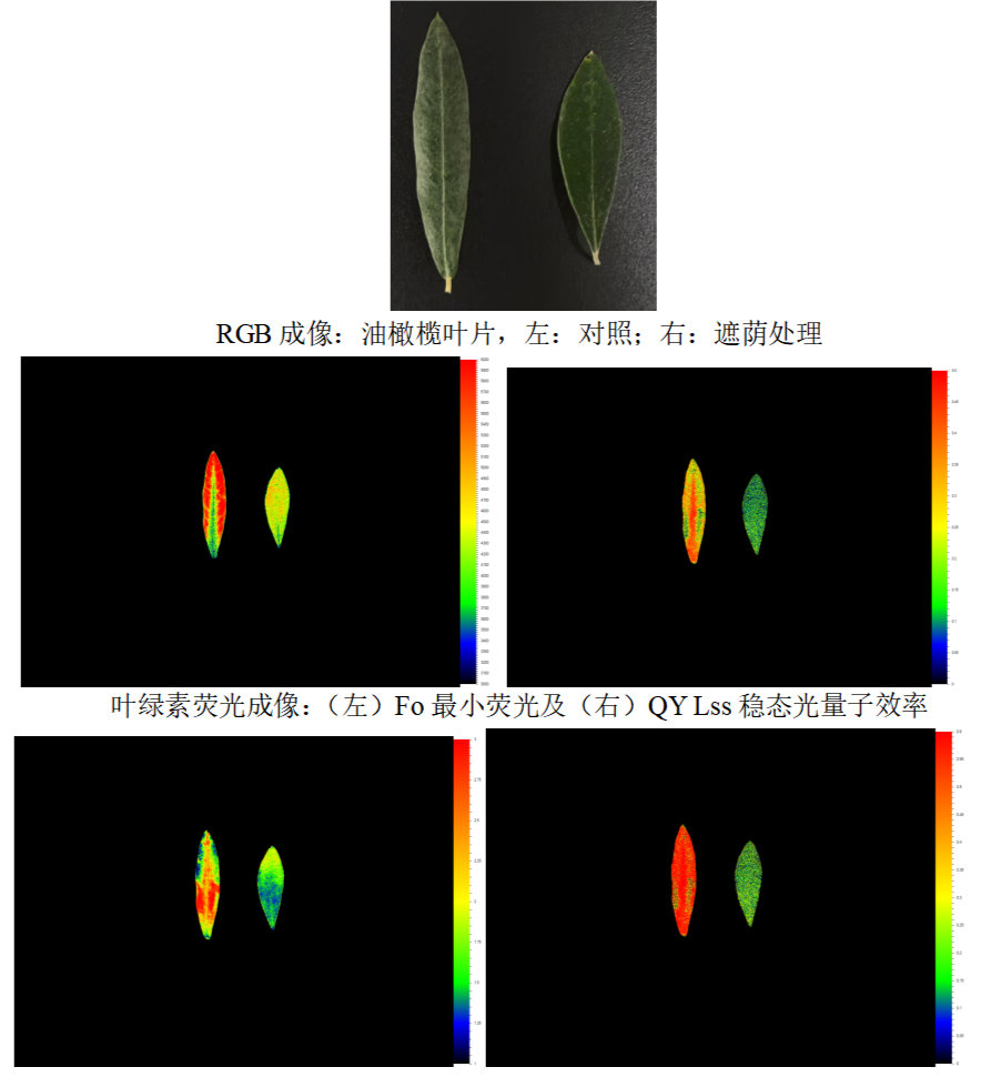 易科泰專業設備落地林科院,助力林業科研效能升級