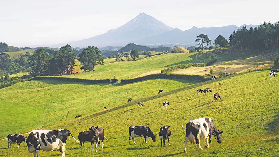 为什么Proliant应成为您BSA采购的<a class=