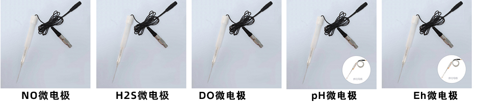 如何讀懂微生物群落的“健康密碼